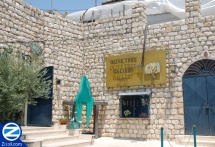 Olive Tree Gallery